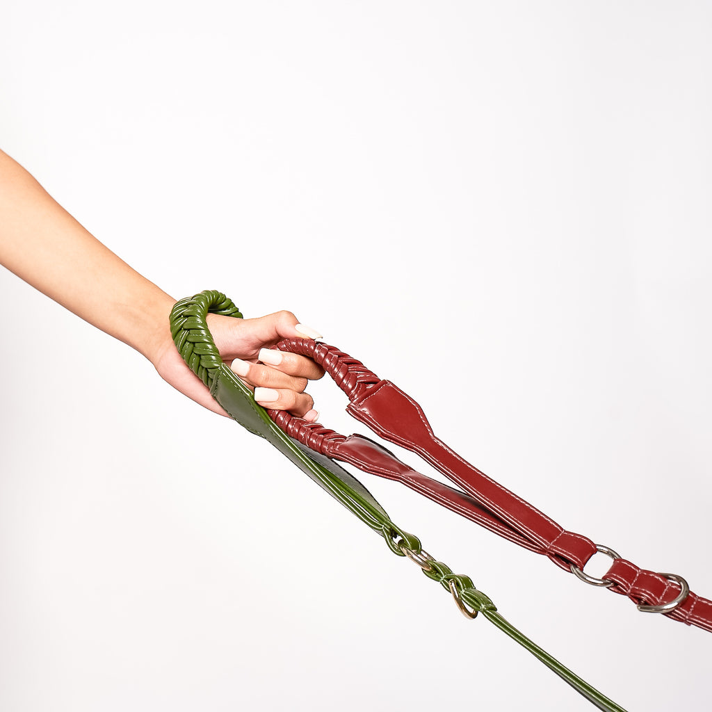Hand braided vegan cactus leather green and red dog leash