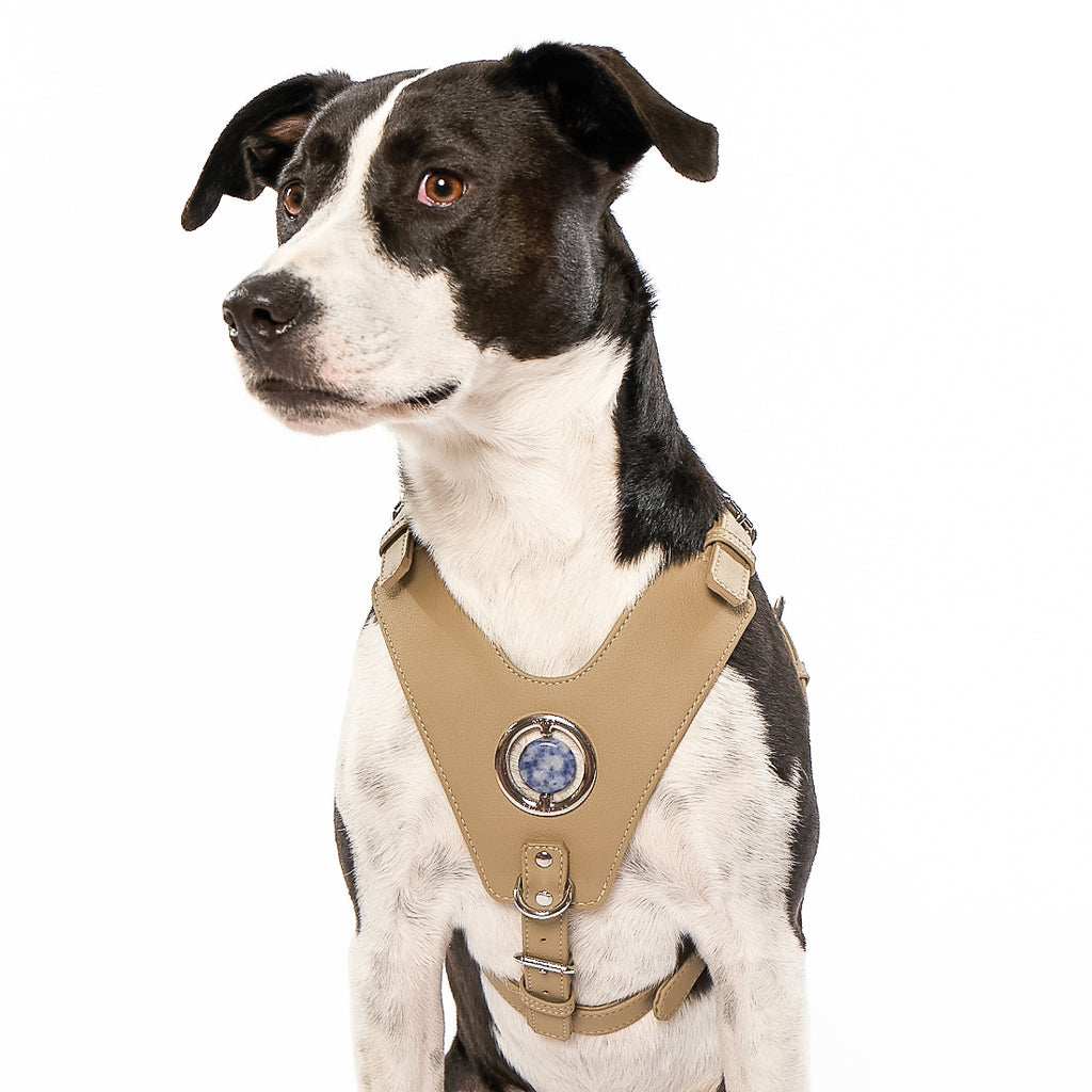 Crystal healing Vegan cactus leather beige non-pull harness for dog