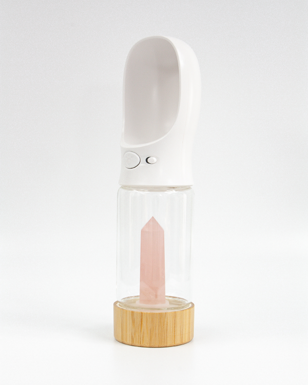 Merci Collective healing Crystal infused water bottle for dog rose quartz