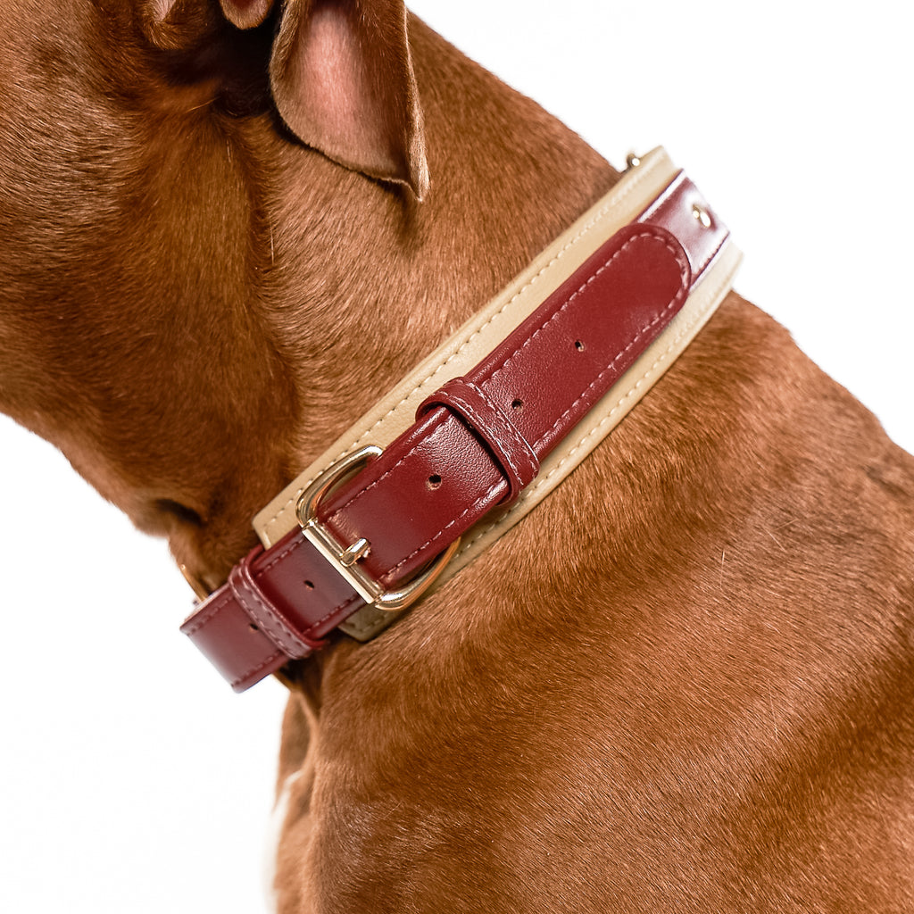 Crystal healing Vegan cactus leather red collar for dog