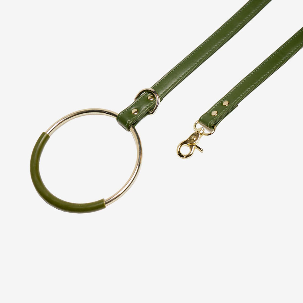 Hoop leash for dog vegan green cactus leather