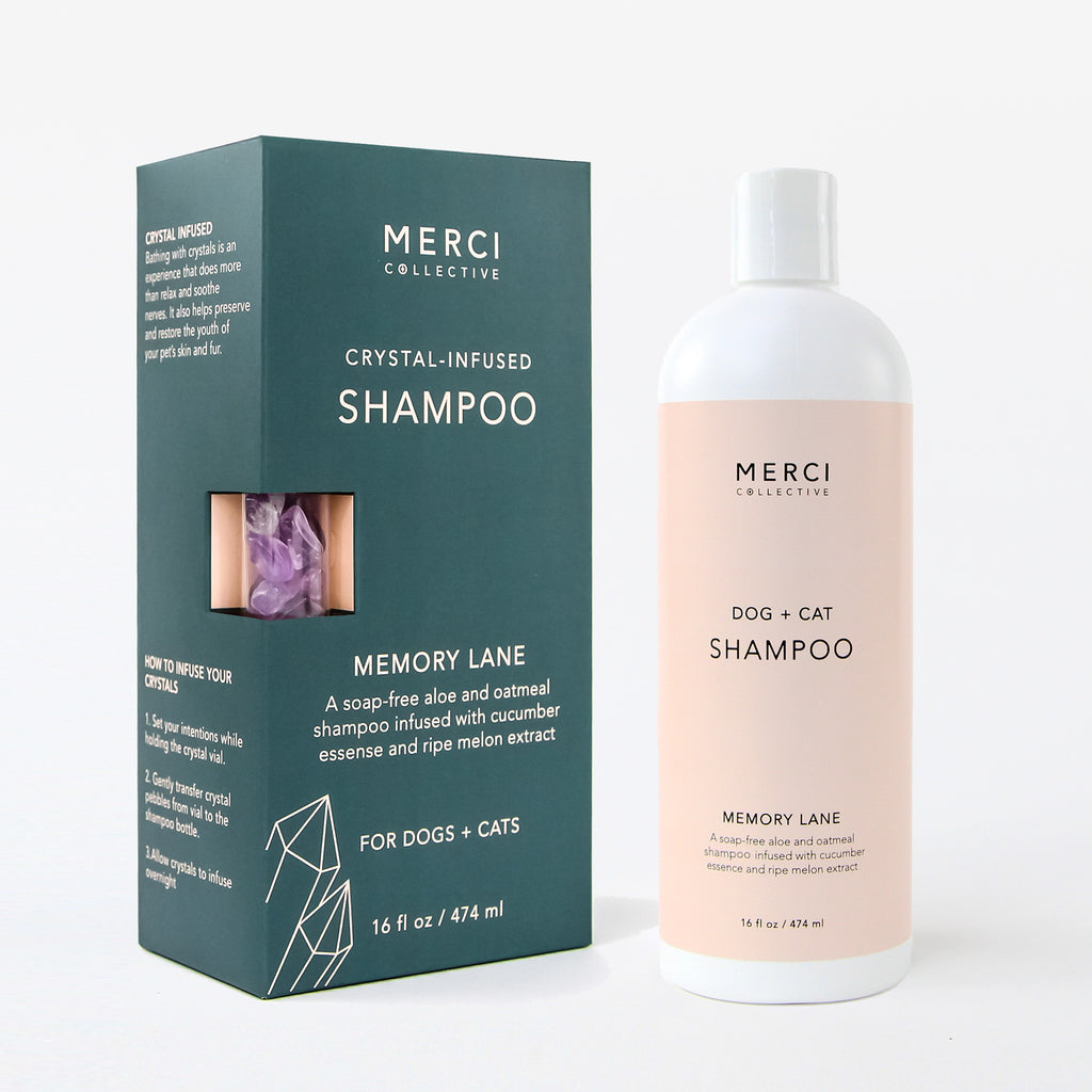 Shampoo | Healing Crystal amethyst 'Infused | Cat & Dog | Merci Collective