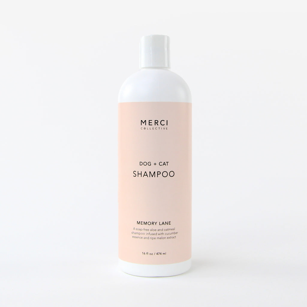Shampoo | Healing Crystal Infused | Cat & Dog | Merci Collective